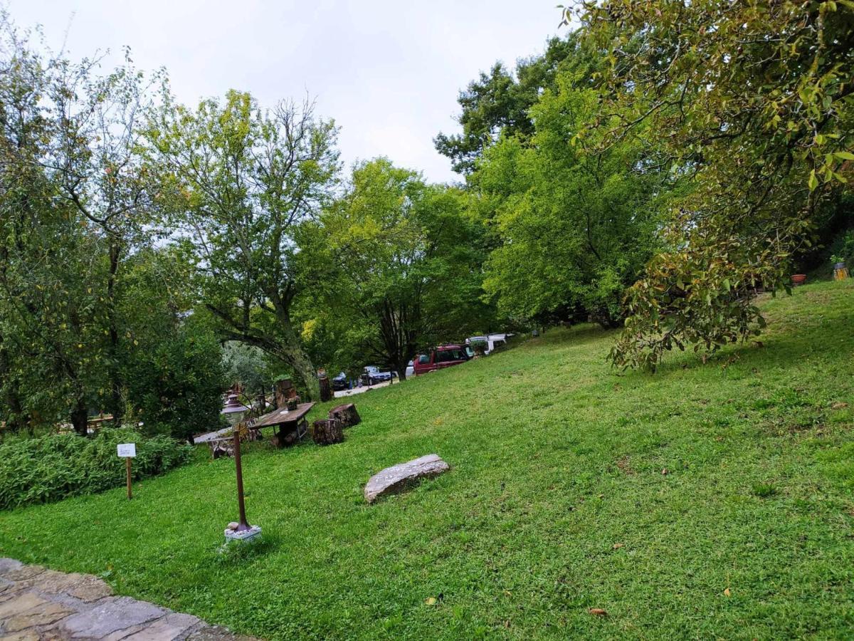 Agriturismo Montesalce Gubbio Exterior photo